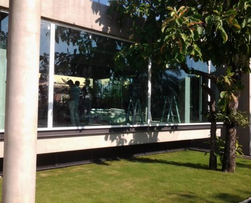 Window and Door - SF 45